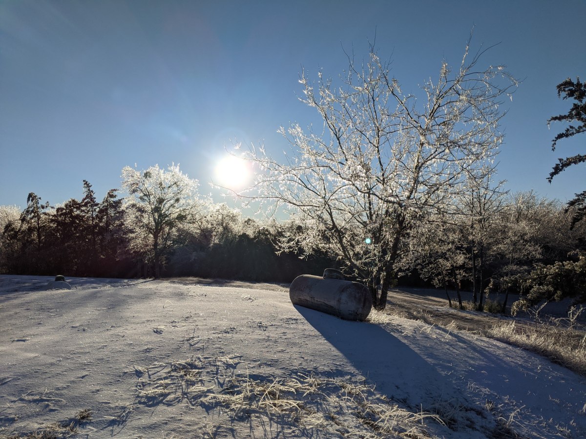 For the Month February&nbsp;2022